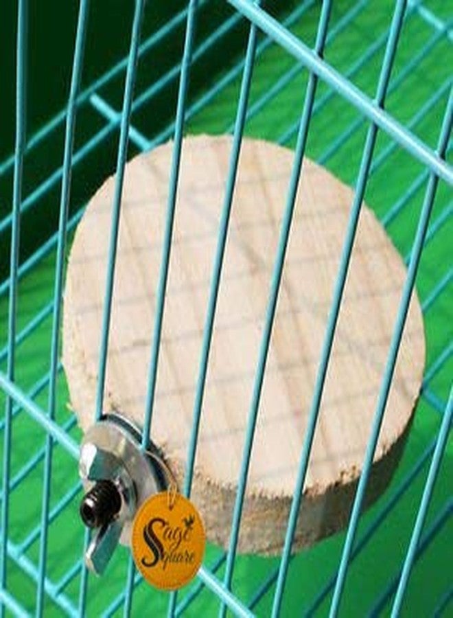 Sage Square 4.5 Inches / 12 cm Natural Wood Platform Cum Perch Cum Stand Bird Toy Ideal for Finch, Canary, Lovebird, Budgerigar, Budgeri (Light Weight) - Image 5